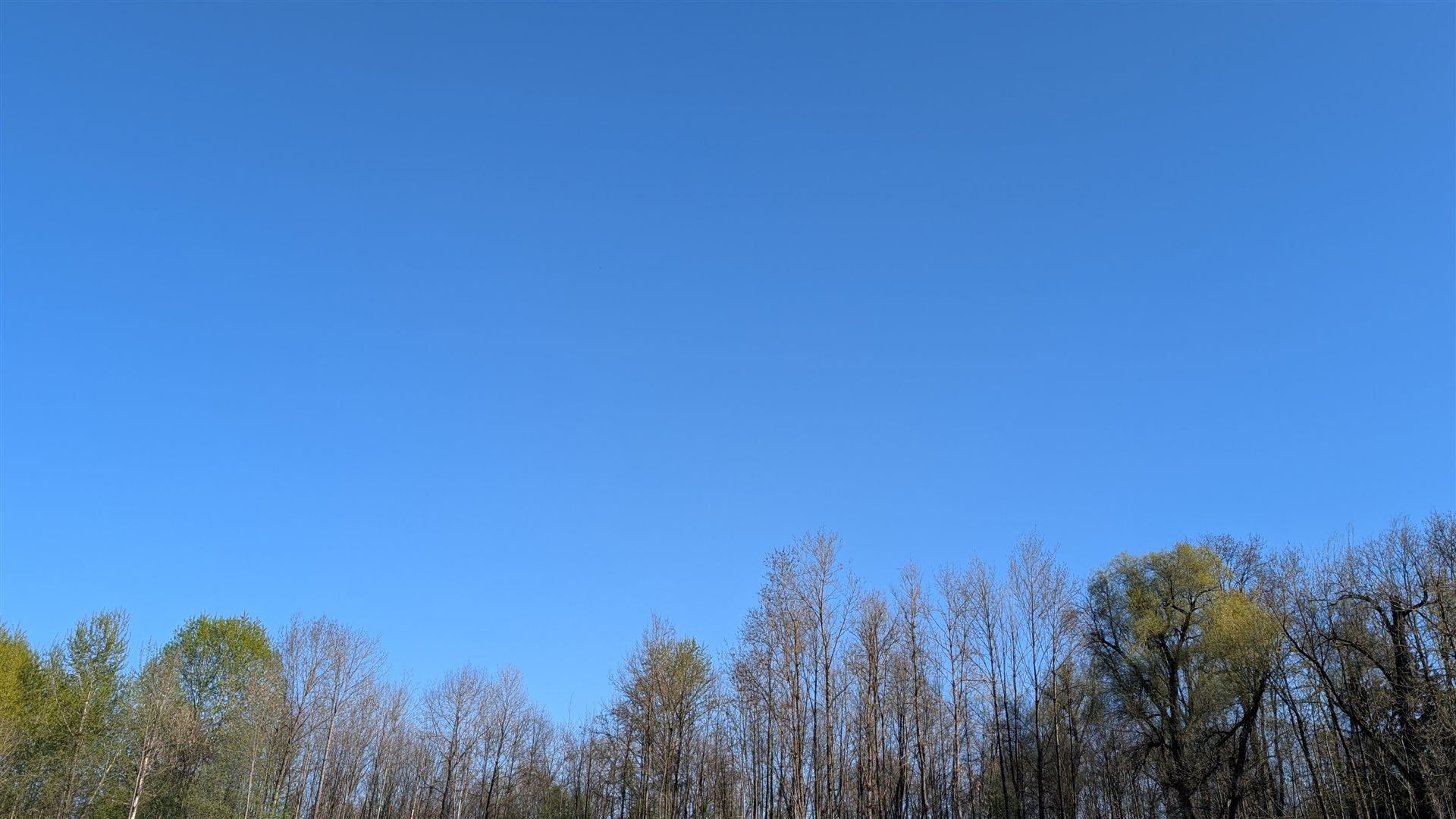 Fruehlingshimmel ueber der Isar