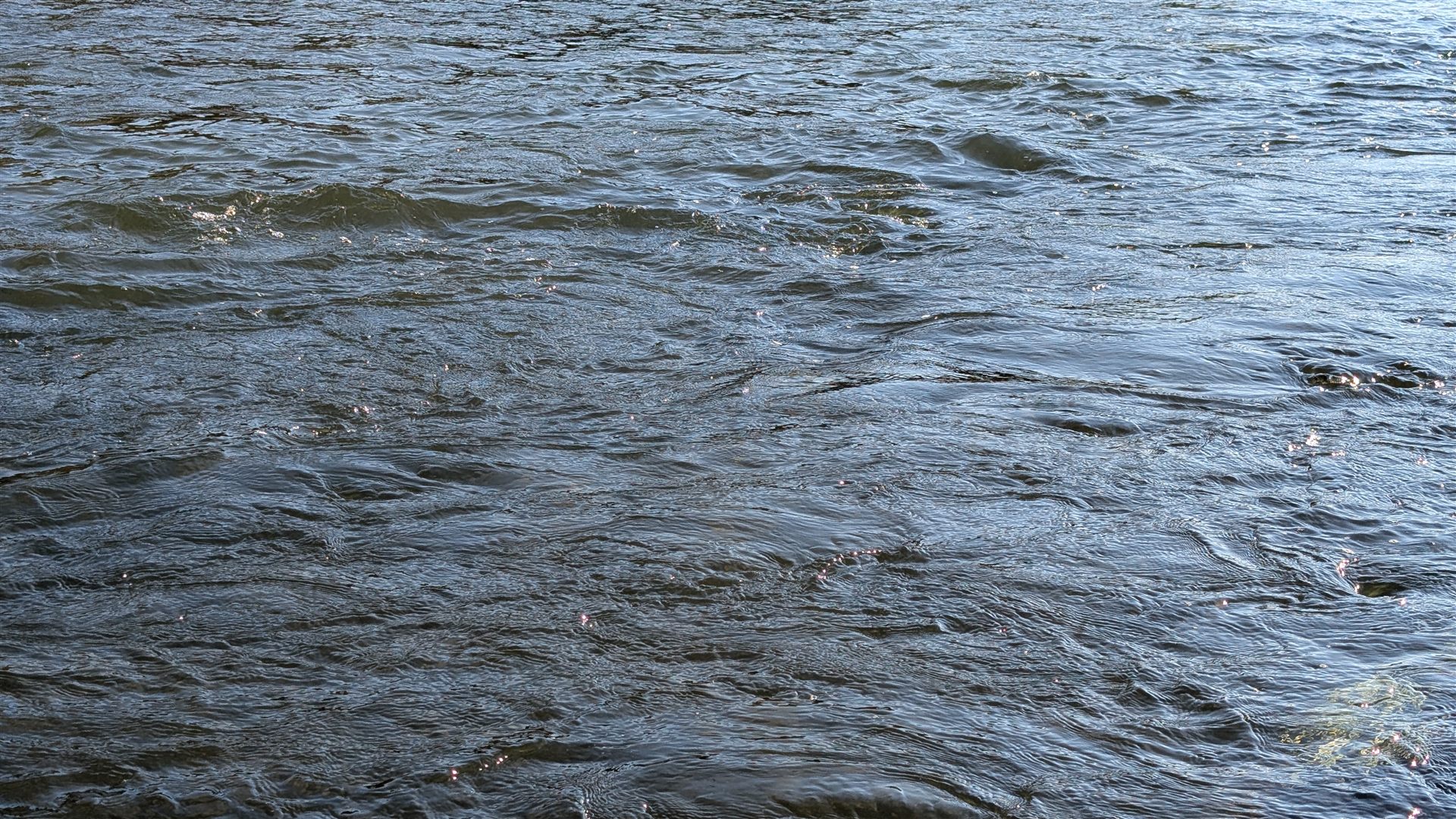 Isar-Stroemung im Sonnenlicht
